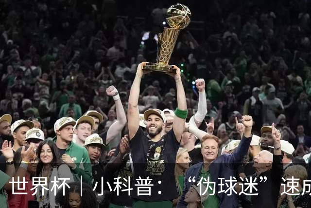 世界杯｜小科普：“伪球迷”速成手册